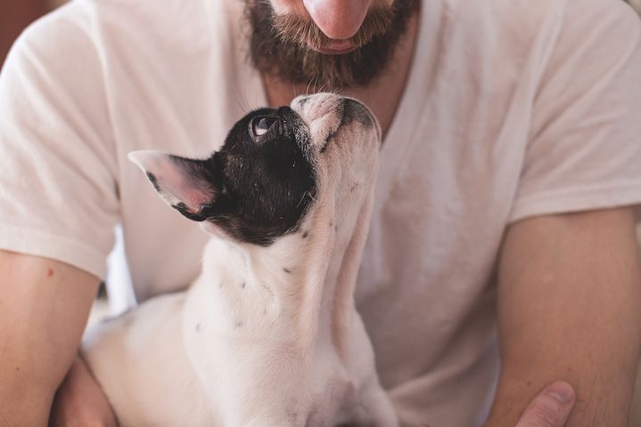 狗狗為什麼和你這麼親近呢