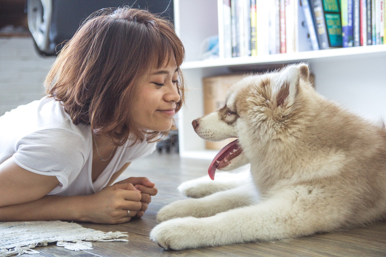 狗狗最愛我們了